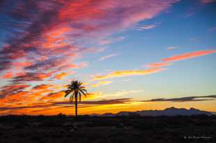 Sunrise near Eloy-6251.jpg